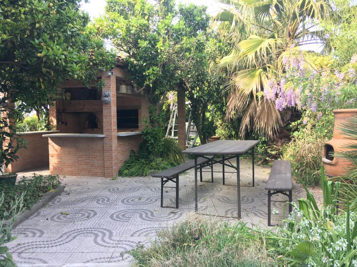 Casa Das Flores Leiria Silvercoast Portugal Monte Redondo Ngoại thất bức ảnh