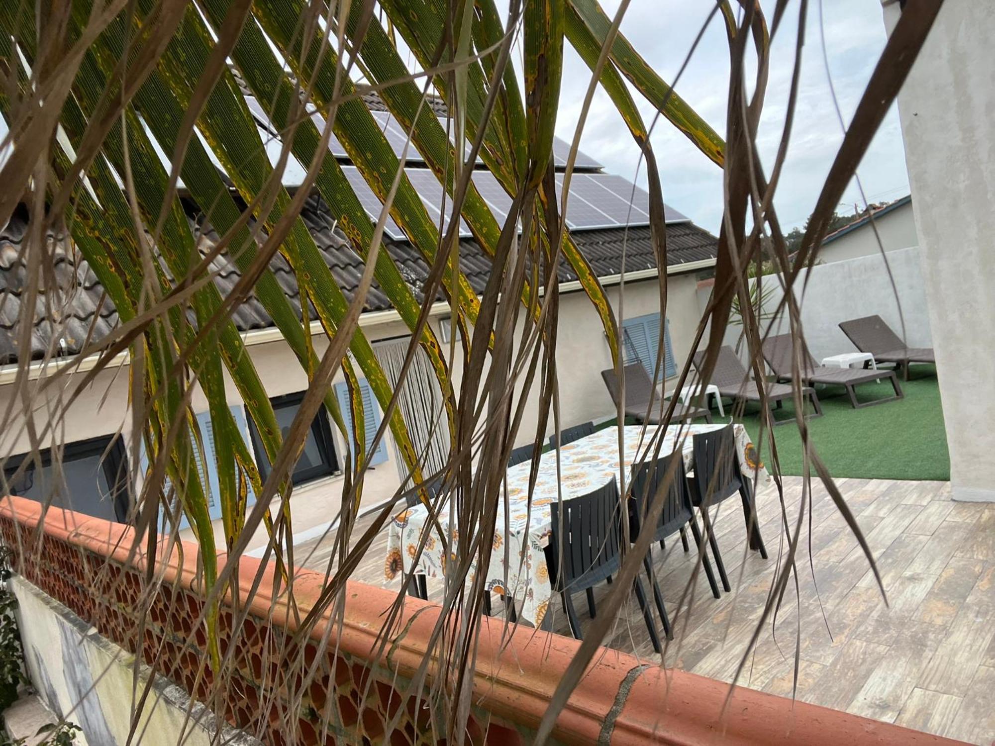 Casa Das Flores Leiria Silvercoast Portugal Monte Redondo Ngoại thất bức ảnh